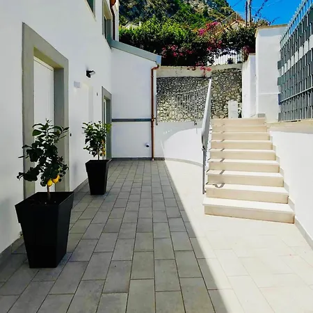 Yourhome - Alisea Daire